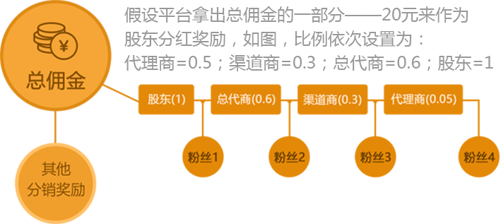 股东分红等级制度