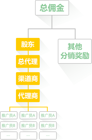 股东分红等级制度